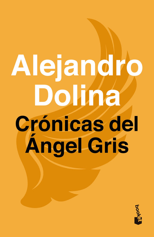Crónicas del ángel gris - Alejandro Dolina