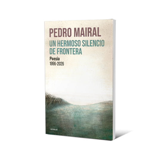 Un hermoso silencio de frontera - Pedro Mairal