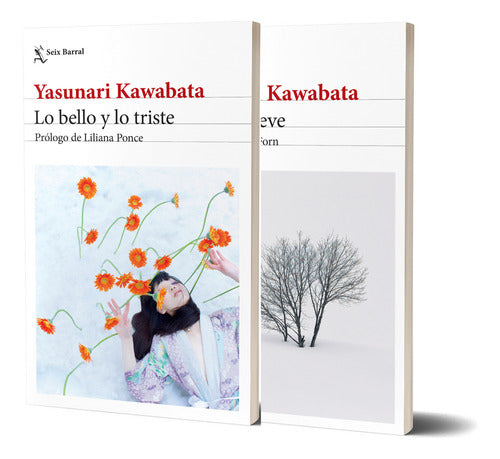 Pack Lo bello y lo triste + País de nieve - Kawabata