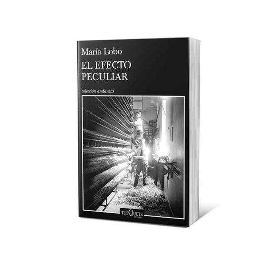 El efecto peculiar - María Lobo