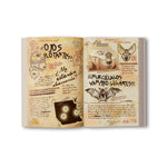 Gravity Falls. Diario 3 Tapa dura - Disney