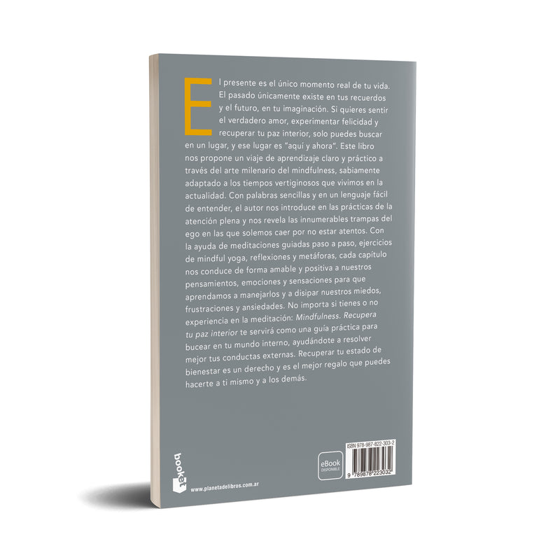 Mindfulness - Silvio Raij