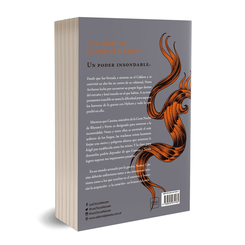 Una corte de llamas plateadas – Planeta de Libros Argentina