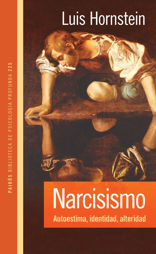 Narcisismo, autoestima, identidad, alteridad - Luis Hornstein - Impresión a demanda